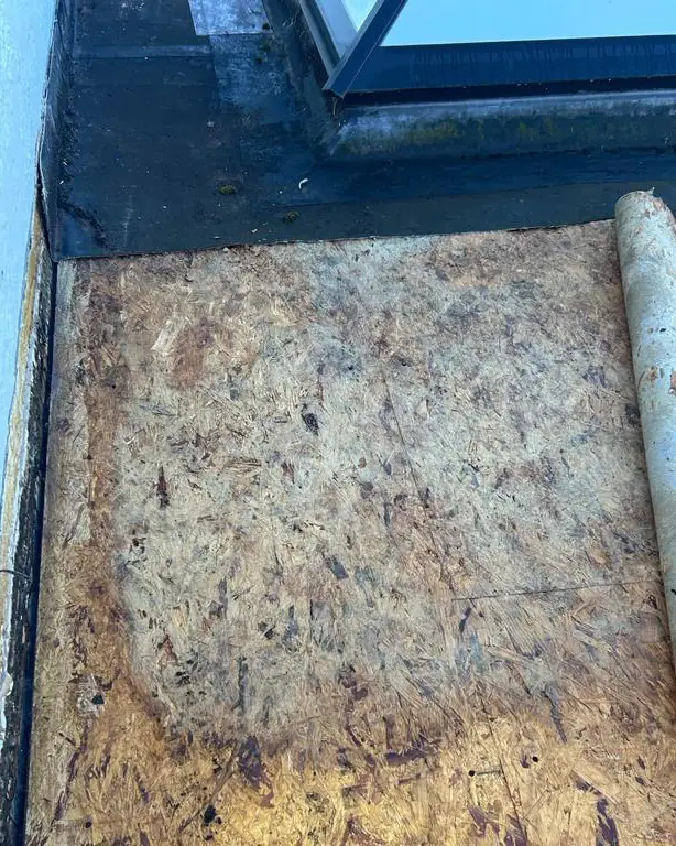 A failed rubber flat roof peeled back to show a rotten, stained deck beside a roof lantern